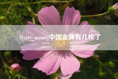 伊春中国金牌有几枚了