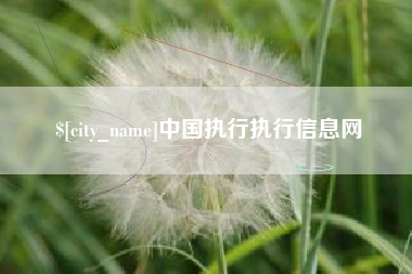 伊春中国执行执行信息网