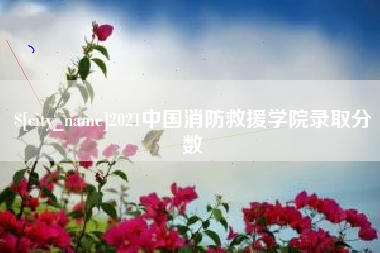 伊春2021中国消防救援学院录取分数