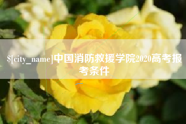 伊春中国消防救援学院2020高考报考条件