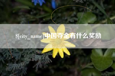 伊春中国夺金有什么奖励