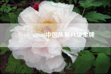 伊春中国队第八块金牌