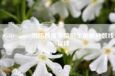 伊春消防救援学院招生录取分数线2020福建