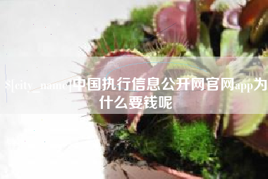 伊春中国执行信息公开网官网app为什么要钱呢