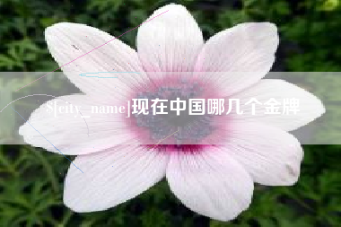 伊春现在中国哪几个金牌