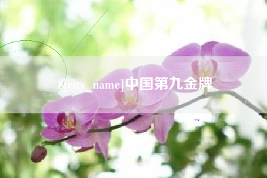 伊春中国第九金牌