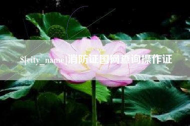 伊春消防证国网查询操作证