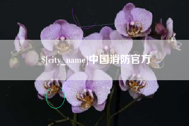 伊春中国消防官方