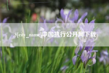 伊春中国执行公开网下载
