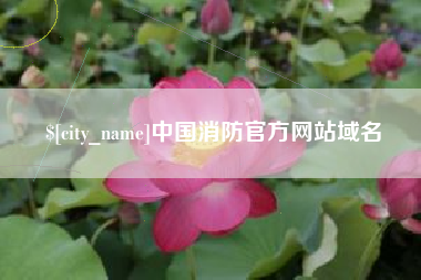 伊春中国消防官方网站域名