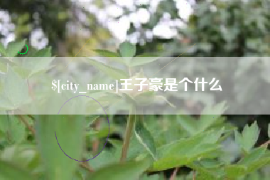 伊春王子豪是个什么