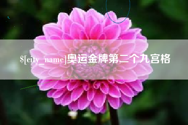 伊春奥运金牌第二个九宫格