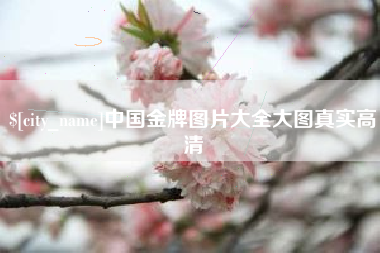 伊春中国金牌图片大全大图真实高清