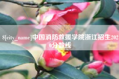 伊春中国消防救援学院浙江招生2020分数线