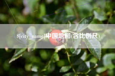 伊春中国地图(含比例尺)
