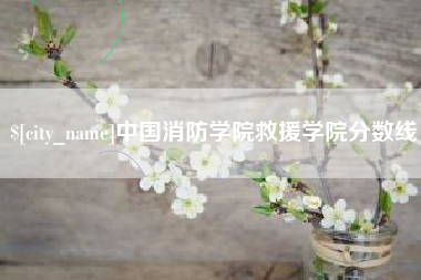 伊春中国消防学院救援学院分数线