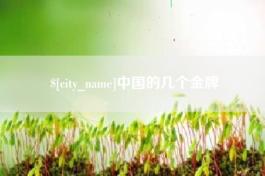 伊春中国的几个金牌