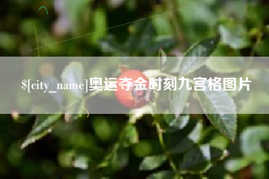 伊春奥运夺金时刻九宫格图片