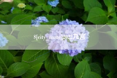伊春2022九宫
