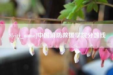 伊春中国消防救援学院分数线