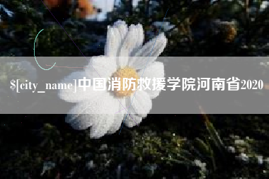 伊春中国消防救援学院河南省2020