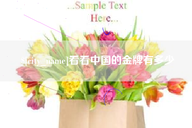 伊春看看中国的金牌有多少